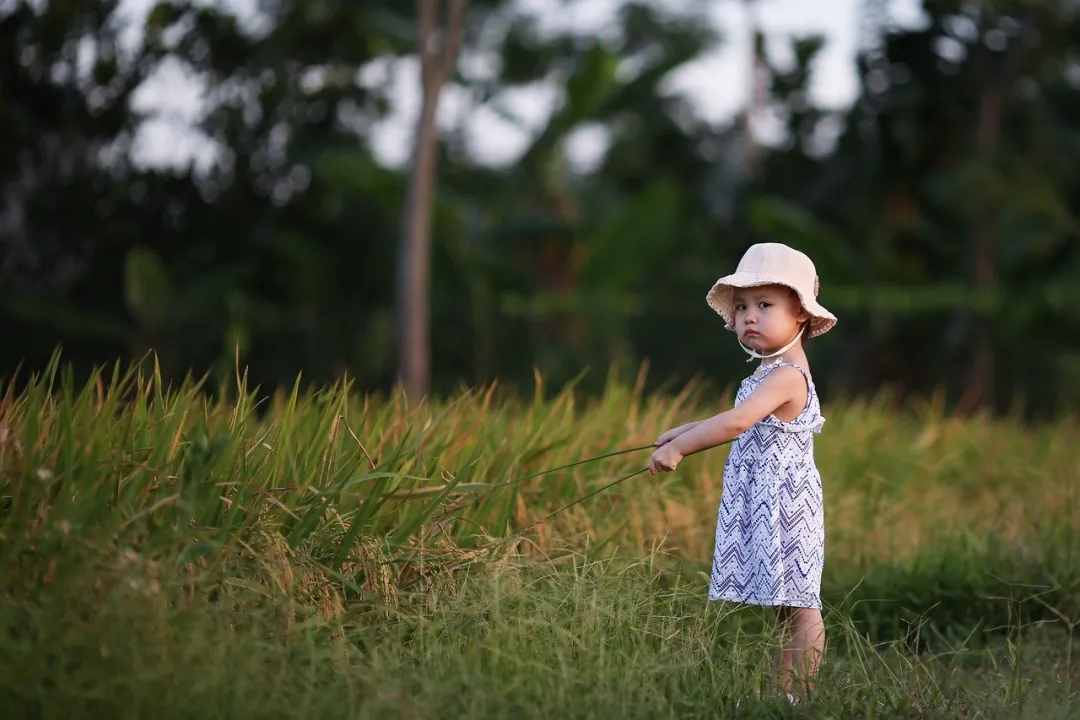 早知道...有早知道的话，就选择狗带