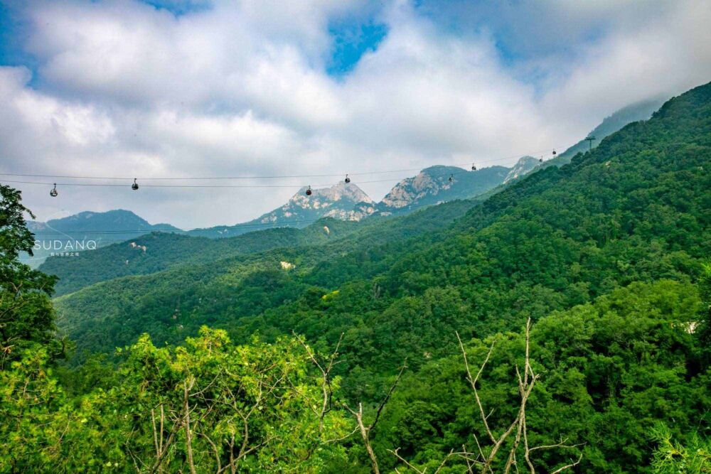 五岳之首为何是泰山？当地导游说出了“真相”，古代帝王视为神山