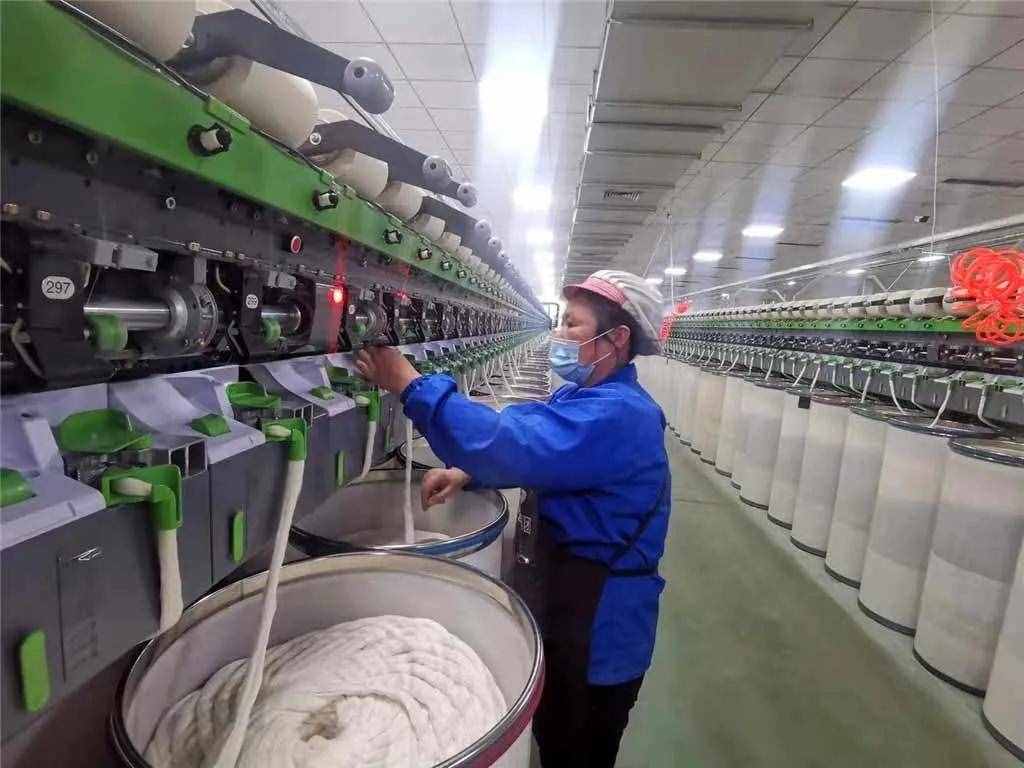 不仅仅是纺织原料，还有很多其他用途——记重要的经济作物棉花