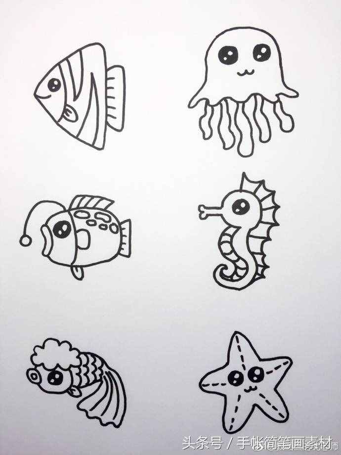 大海和海里动物们的简笔画~