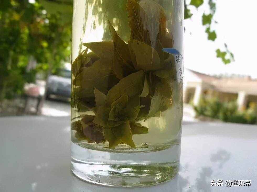 新疆冷知识：这里除了有上好的棉花，居然还产茶？