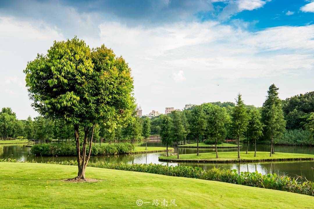 广州最大的人工湖，面积超过市内四大名湖总和，低调静美少人来