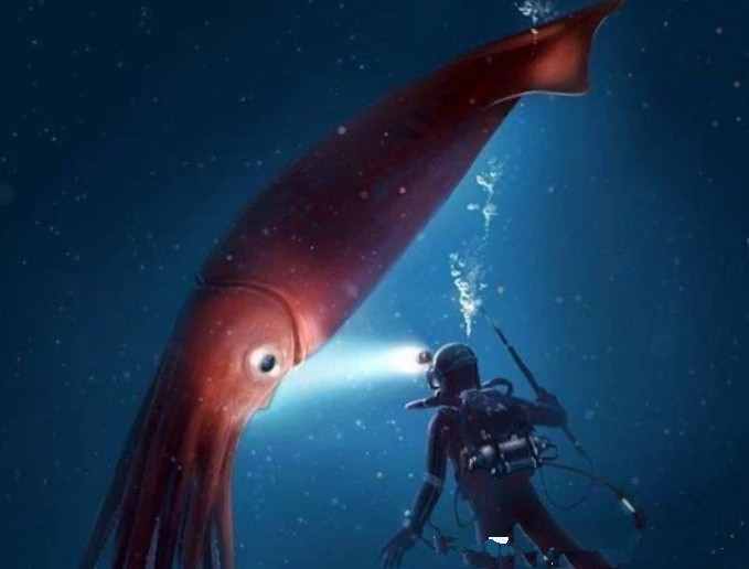 深海的怪兽决斗：抹香鲸大战巨乌贼，场面好似科幻片