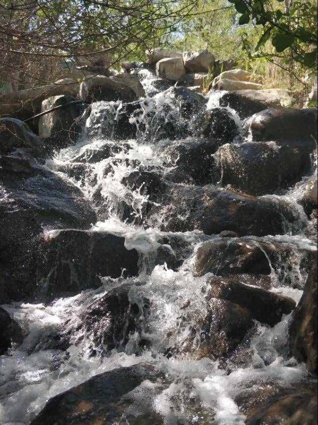 乌鲁木齐有河有瀑布有喷泉的森林公园小区着这里，来听瀑布的声音