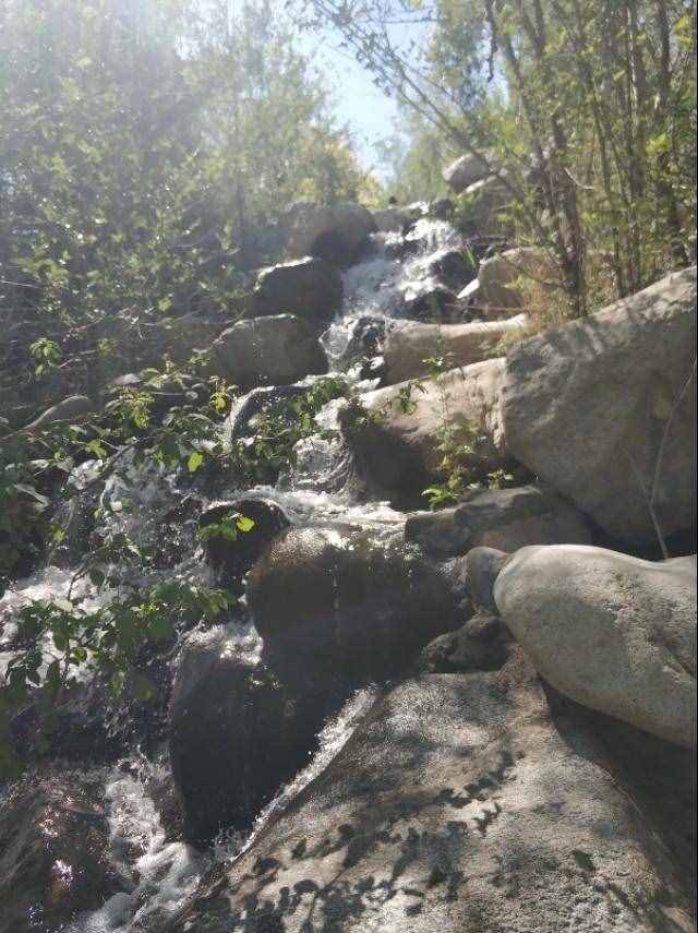乌鲁木齐有河有瀑布有喷泉的森林公园小区着这里，来听瀑布的声音