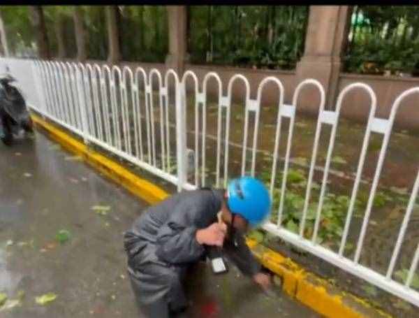 独家述评｜风雨中的美丽