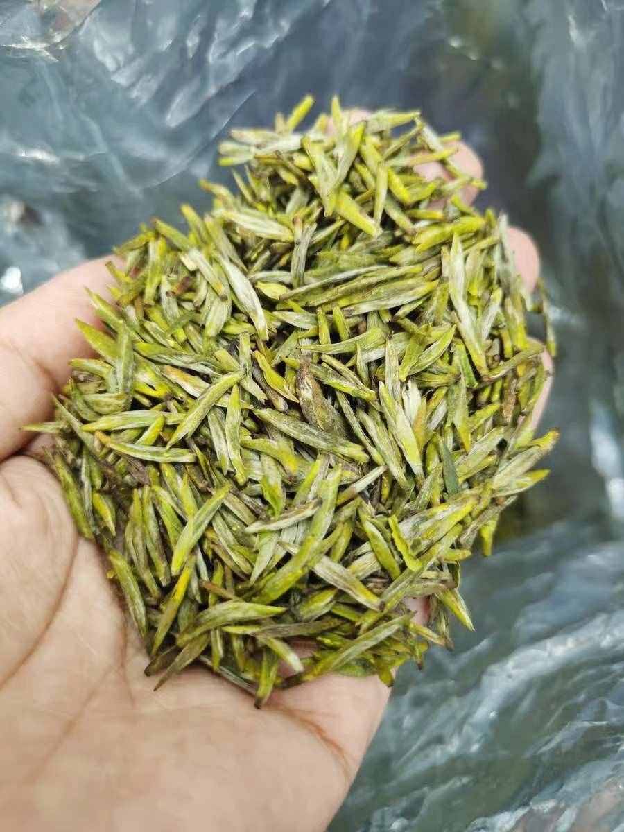 我家这是什么茶？黄茶篇