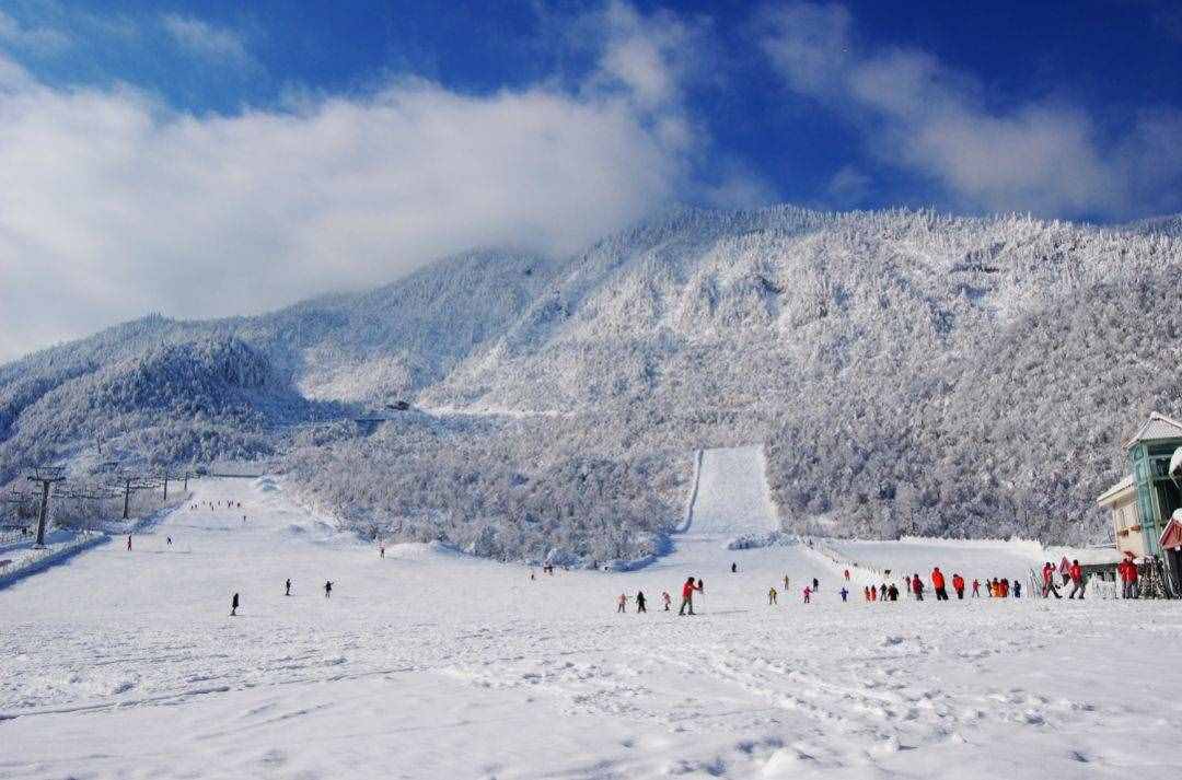 成都旅游观光巴士新增直达西岭雪山线路！元旦来雪乡嗨耍（文末福利）