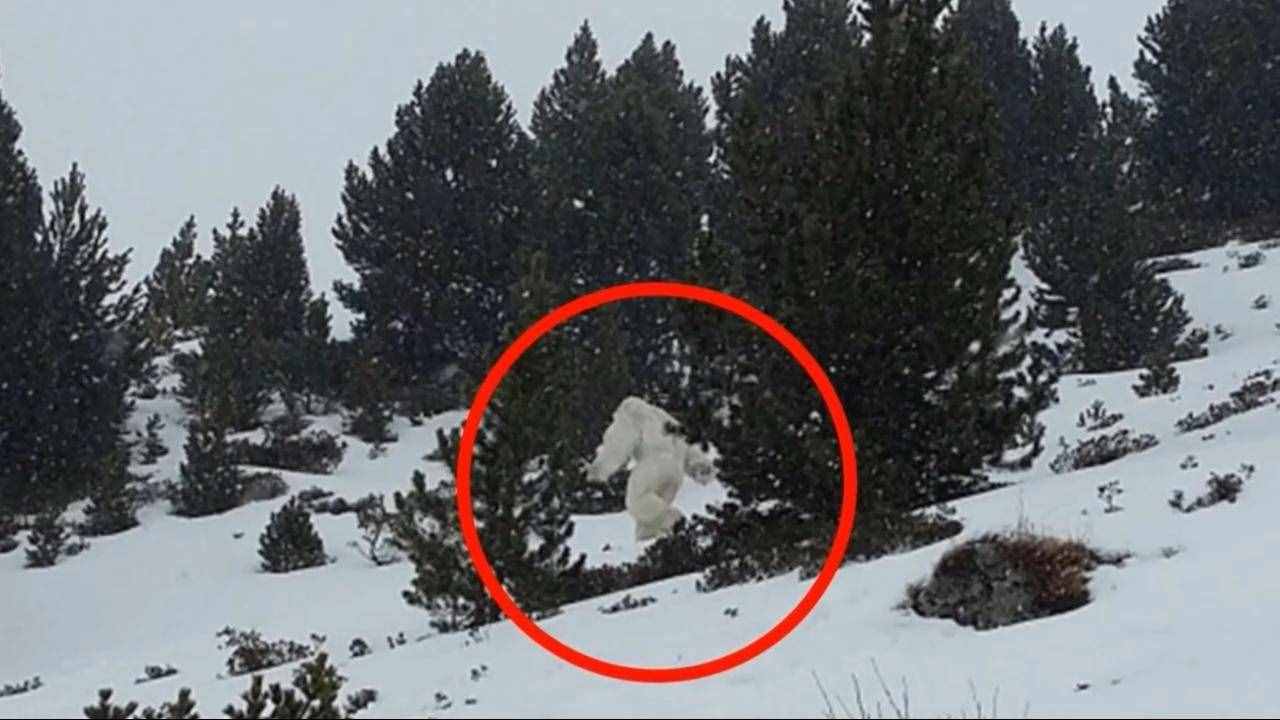 喜马拉雅山发现雪人？行动迅速，体长4.6米，据说尸体卖到上千万