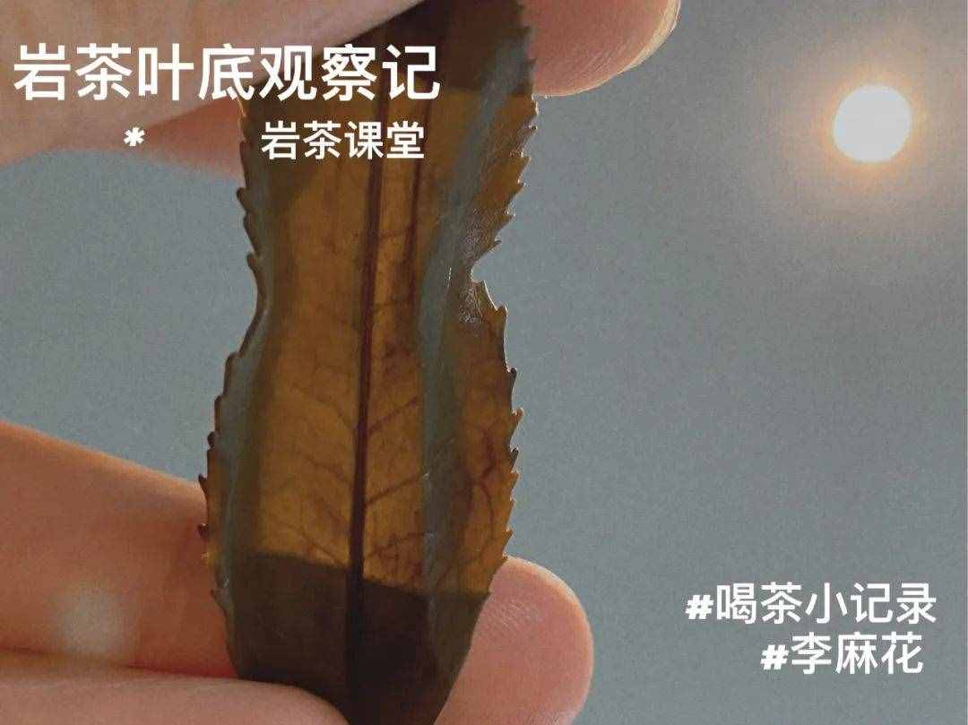 金牡丹红茶、奇兰红茶、梅占红茶，岩茶里尝出红茶味，你敢喝吗？