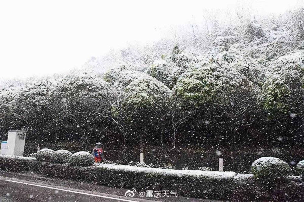 在重庆，比出太阳更难的，只有下雪了