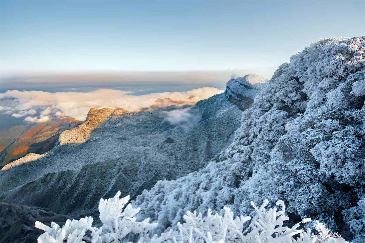 在重庆，比出太阳更难的，只有下雪了