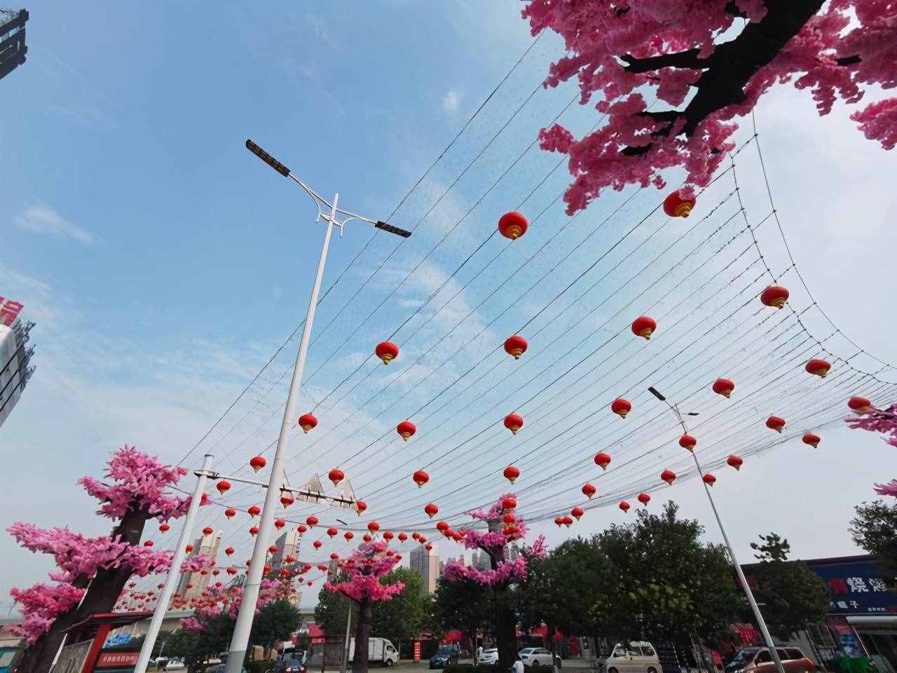 唐山这条樱花大街，给你一个粉红色的回忆