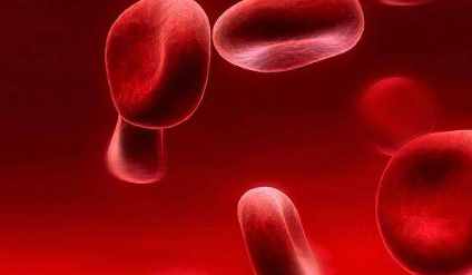体检显示血红蛋白增多？小心这7大疾病找上你