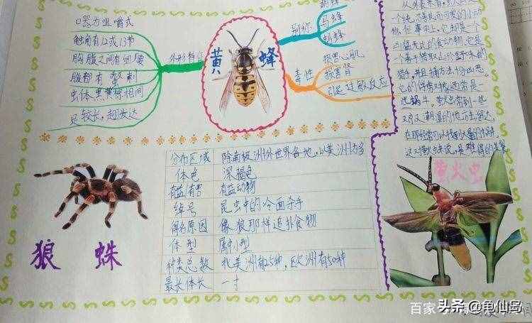 部编版三年级语文下册自制昆虫备忘录