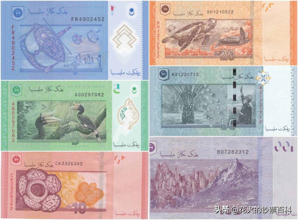 带你看看马来西亚的钞票，大红大紫的还挺好看