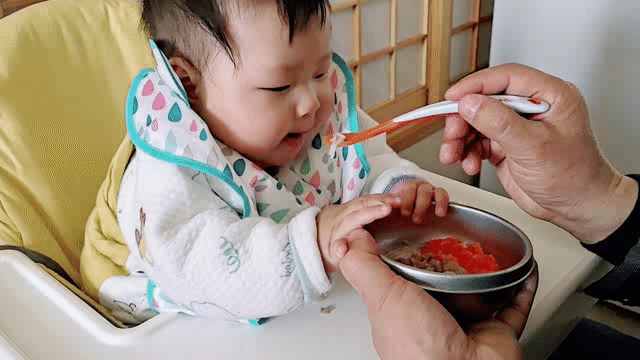7月龄的宝宝每天都吃什么？要不要引入手指食物？
