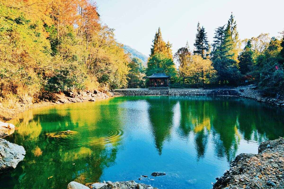 英国游客到访杭州，看到“天目山”美景，直呼：这是大自然的杰作