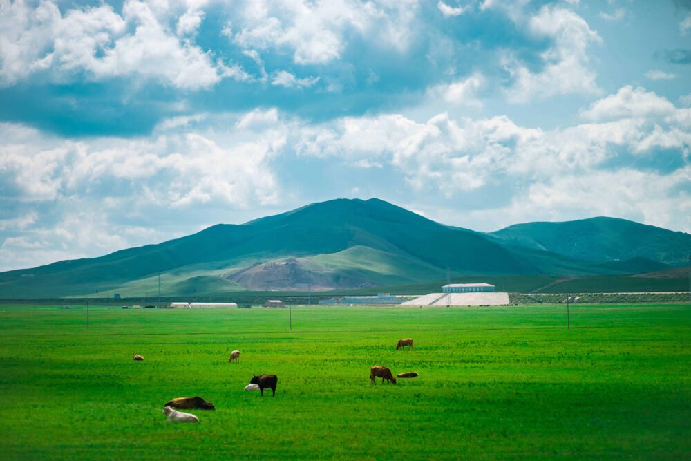 中国最美的3大草原，风光迤逦，美得像壁纸一样，我承认我想去了