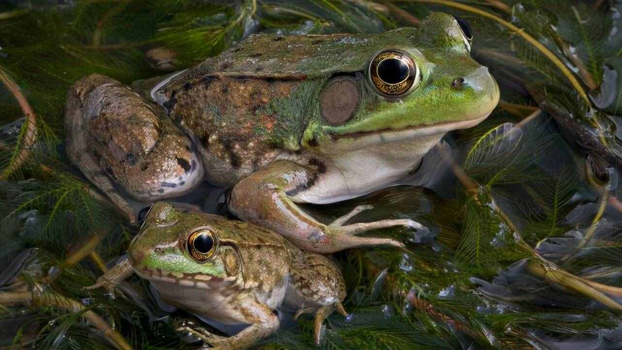 24个冷知识：生物课本上不会出现，没用但却使人博学的奇怪知识