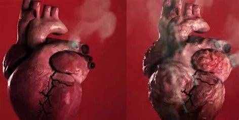 吸烟不止会带来肺部损伤，它同样会给心脏带来伤害