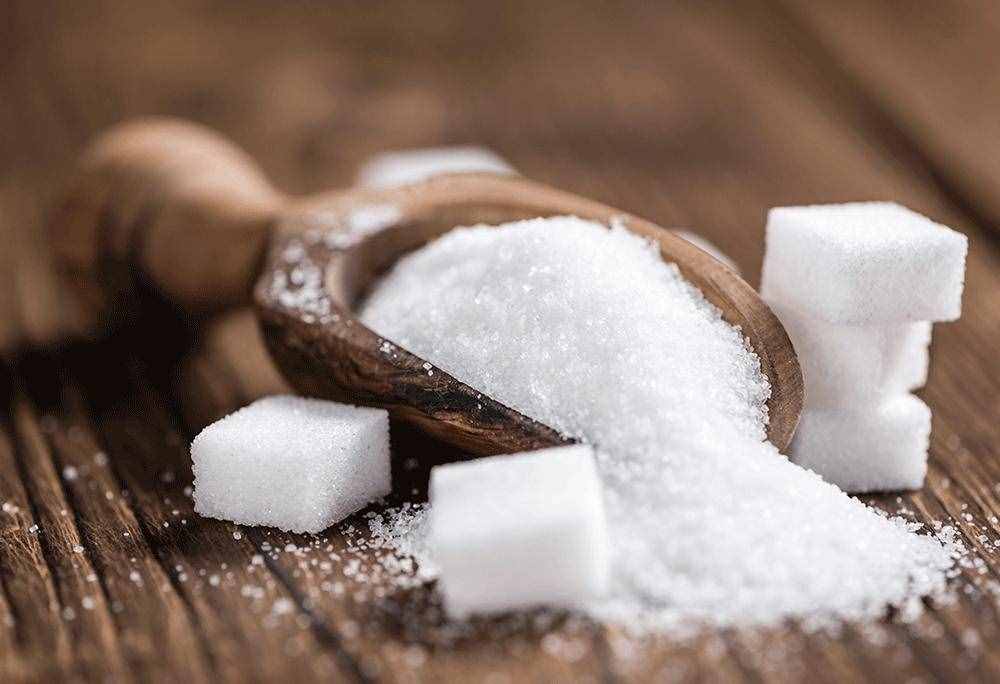 ——白糖期货品种