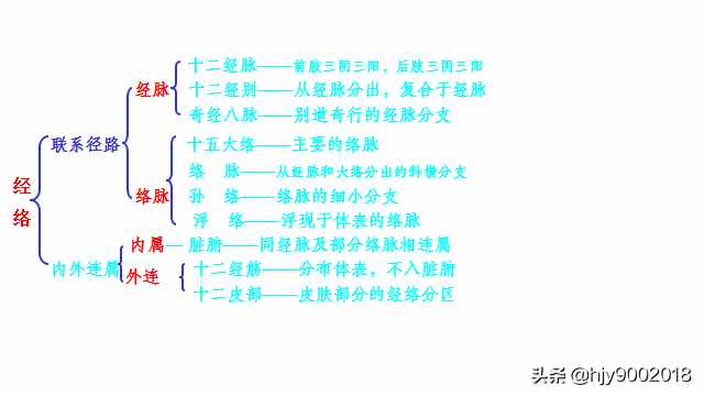 经络的基本概念与组成