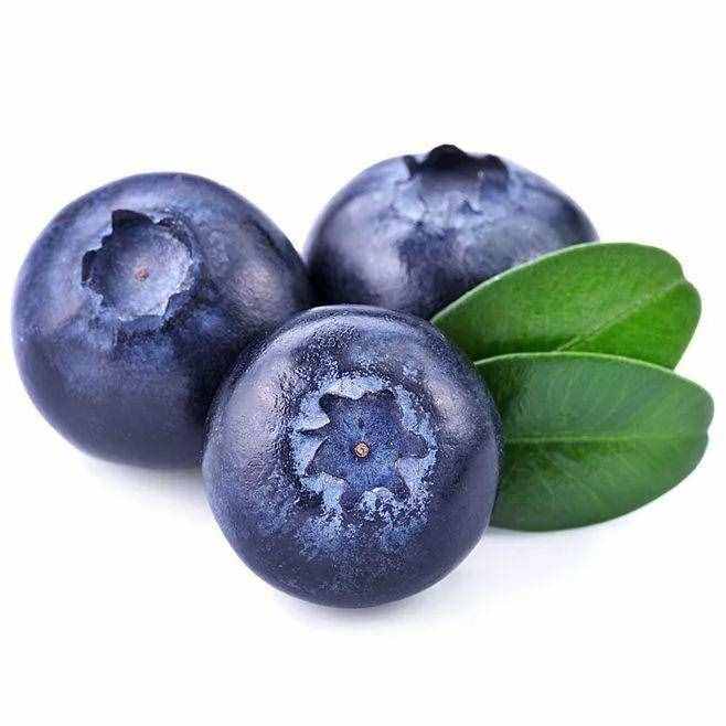 蓝莓的生长和营养价值！