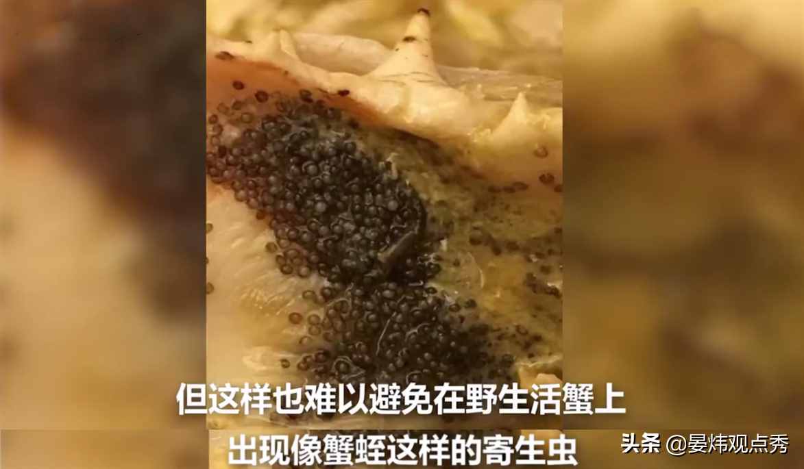 顾客鲍鱼吃出蠕动长虫 厨师：高蛋白 可以吃，网友：这次我站厨师