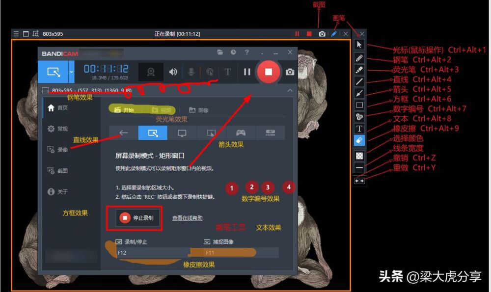 推荐一款高清视频录制工具——Bandicam