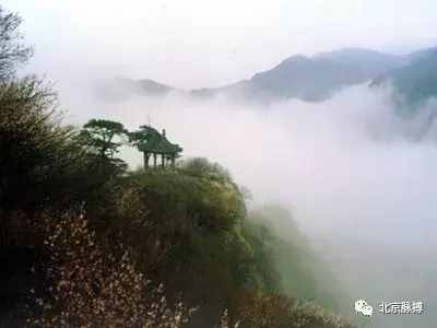画说北京丨30处天然氧吧，北京森林公园大全