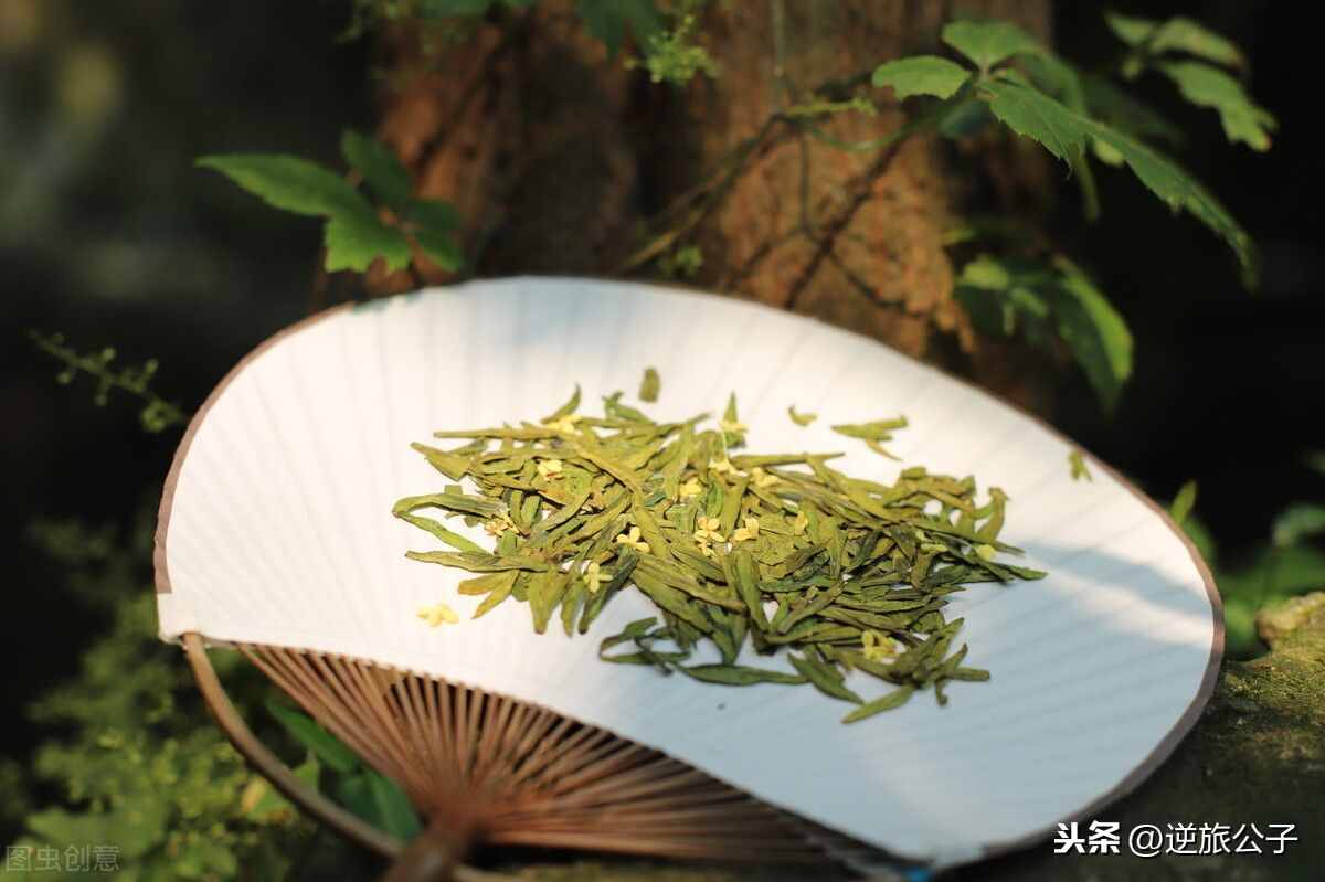 常喝的茉莉花茶，你真的喝对了吗？茉莉花茶科普文，值得了解一下