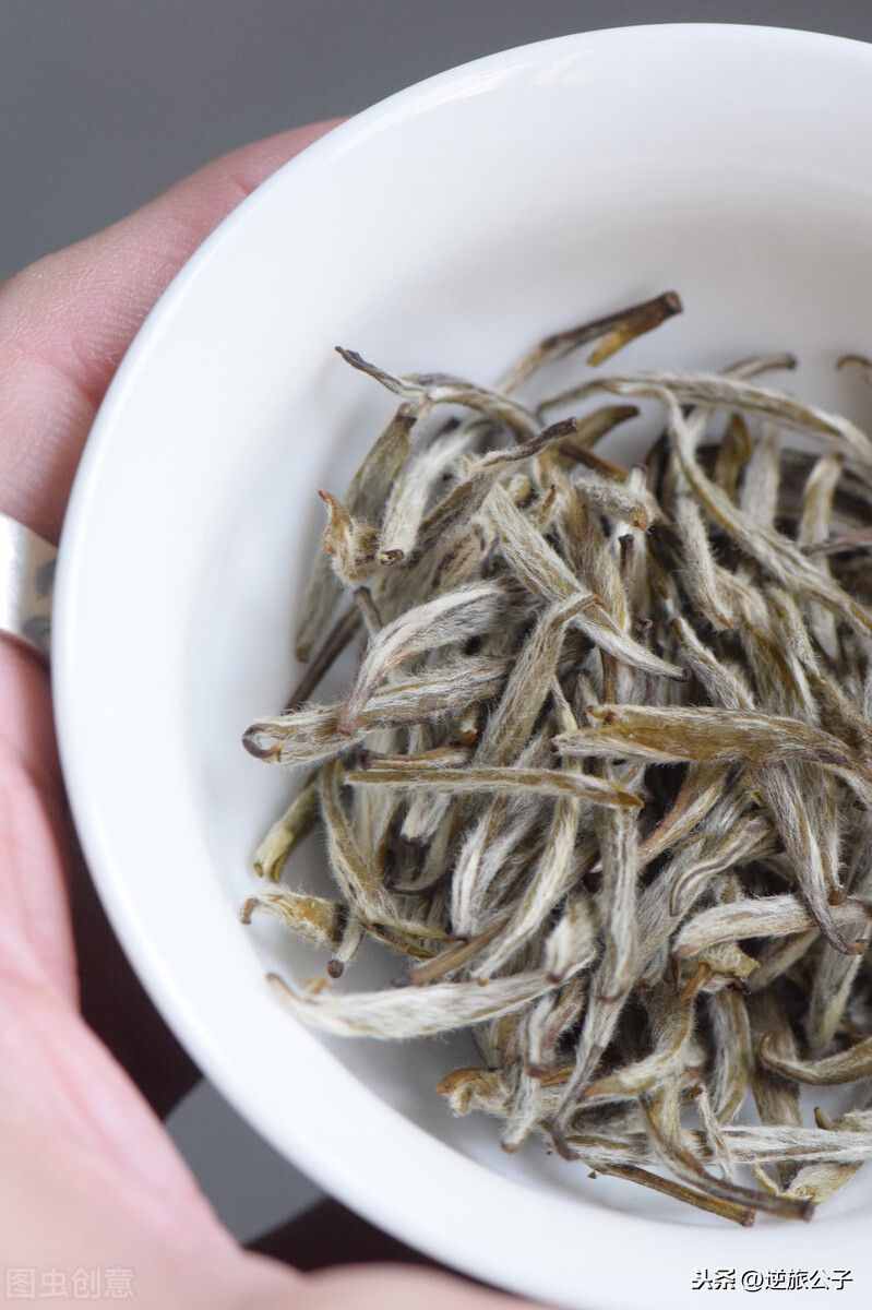 常喝的茉莉花茶，你真的喝对了吗？茉莉花茶科普文，值得了解一下