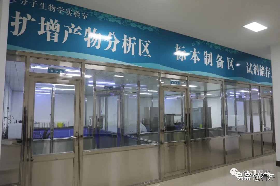 齐齐哈尔市泰来县人民医院新入院患者陪护人员（仅限一位）核酸检测免费啦