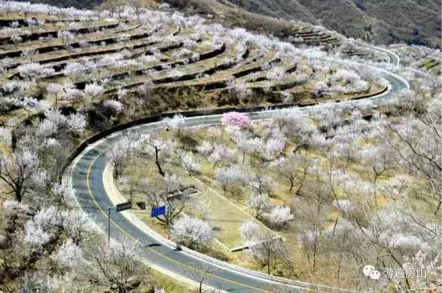 春游北京房山，梯田，湿地，寺院，处处花海！山水皆美！