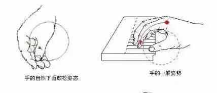 弹钢琴的正确手型详细讲解，敲黑板啦