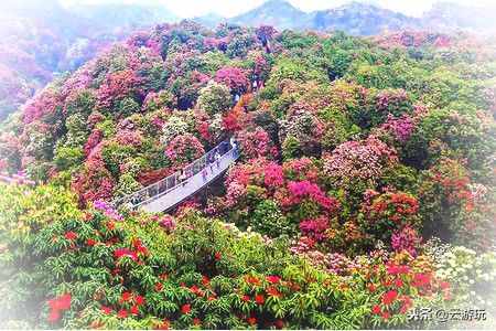 贵州旅游十大景点排名，贵州最值得去的10个景点