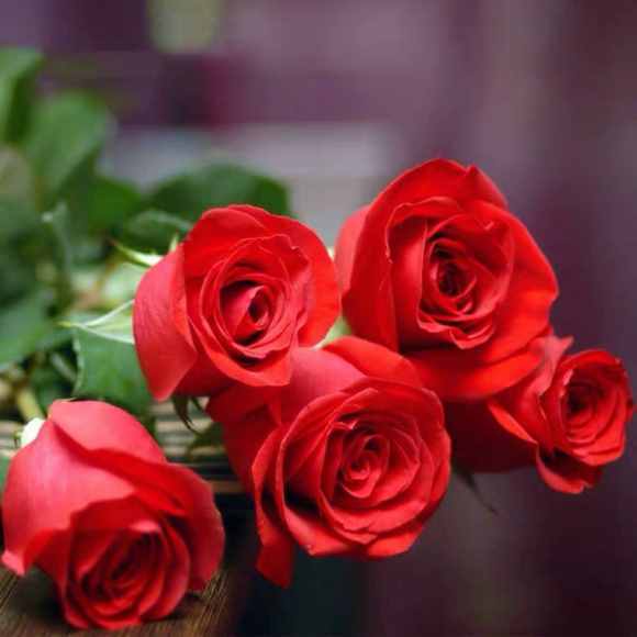 婚礼上常用的6种鲜花，寓意美好，浪漫又温馨