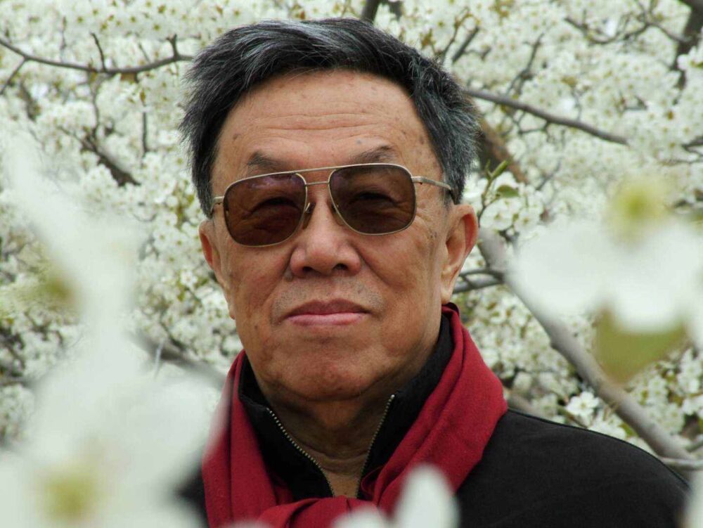 19岁就凭借《青春万岁》成名的王蒙，81岁才获茅盾文学奖