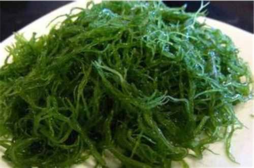 天然无污染的藻类 孕妇可以吃龙须菜吗