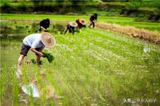 农民退休制度是什么意思？可行吗？