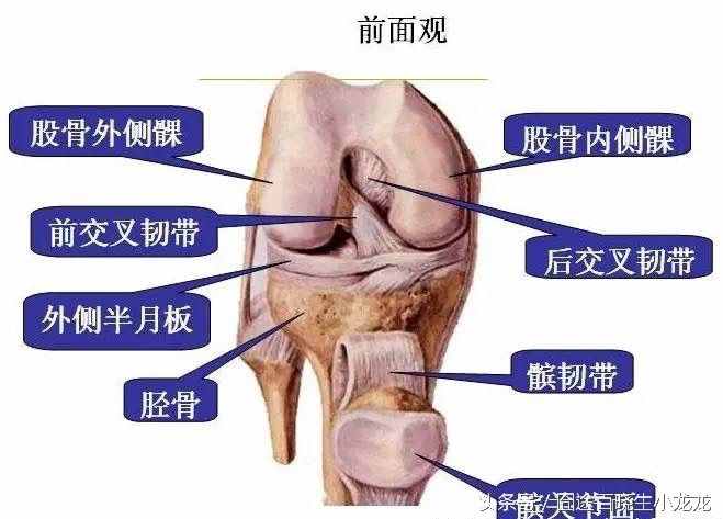 骨质增生秘方大公开，告别疼痛，治一个好一个的良方！