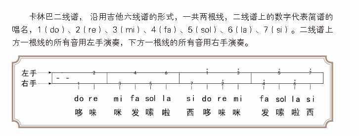 有些乐器甚至不用学就可以入门，十大易学乐器有这些