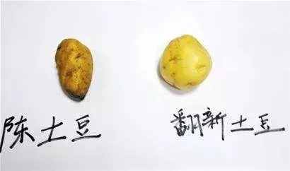 “翻新土豆”有毒还致癌？是时候告诉你真相了