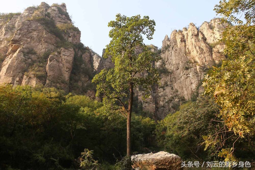 我山之石，可以开花！你见过会开花的石头吗？邯郸户外野游必去！