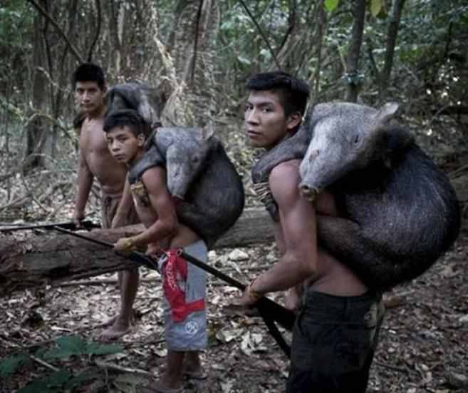 巴西的原始印第安人部落，成年礼很“残酷”，独特标志非常惹眼