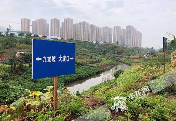 重庆河道管理条例执行情况如何？市人大常委会执法检查组深入五区县检查