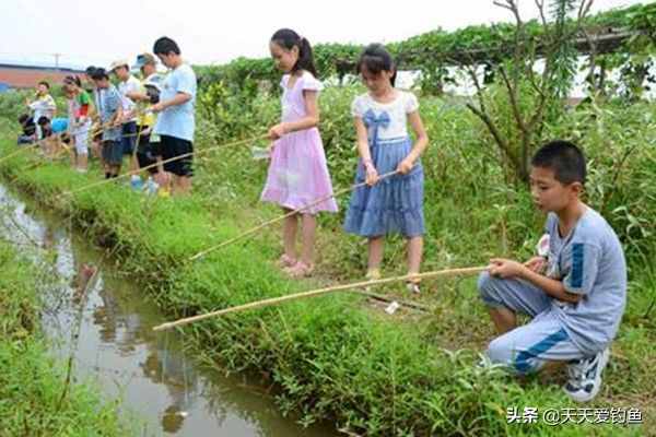 小龙虾的垂钓方法，方法简单好操作，一个小时钓一大桶