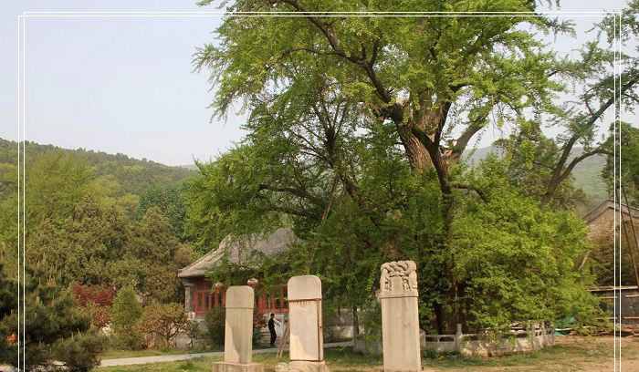 门头沟的西峰寺，你来过这里吗？