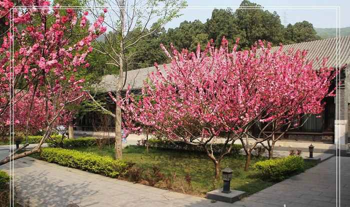 门头沟的西峰寺，你来过这里吗？